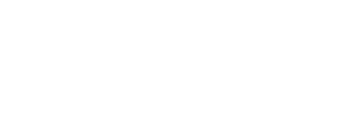 logo wetmex
